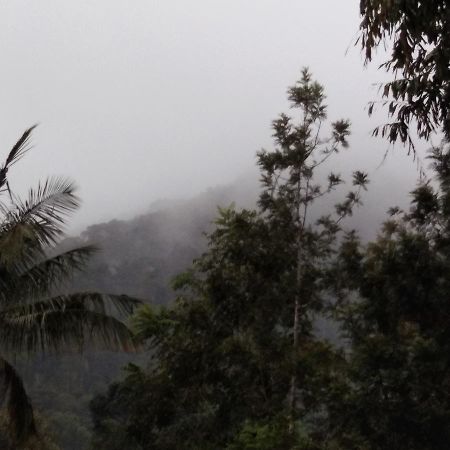 Bandekallu Homestay Chikmagalūr Zewnętrze zdjęcie